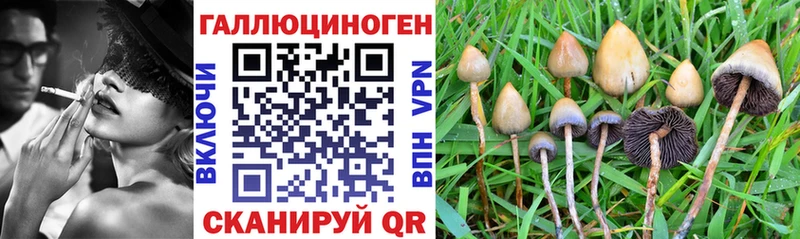 Купить где  Среднеуральск  Псилоцибиновые грибы мухоморы 